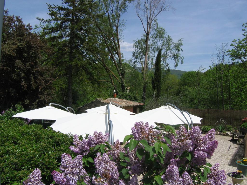 Auberge de Trente Pas Saint-Ferréol-Trente Exterior foto